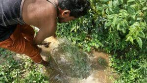 Man pouring water from a bucket into a small irrigation ditch to water plants, symbolizing providing food security support through crypto donations with BTC.