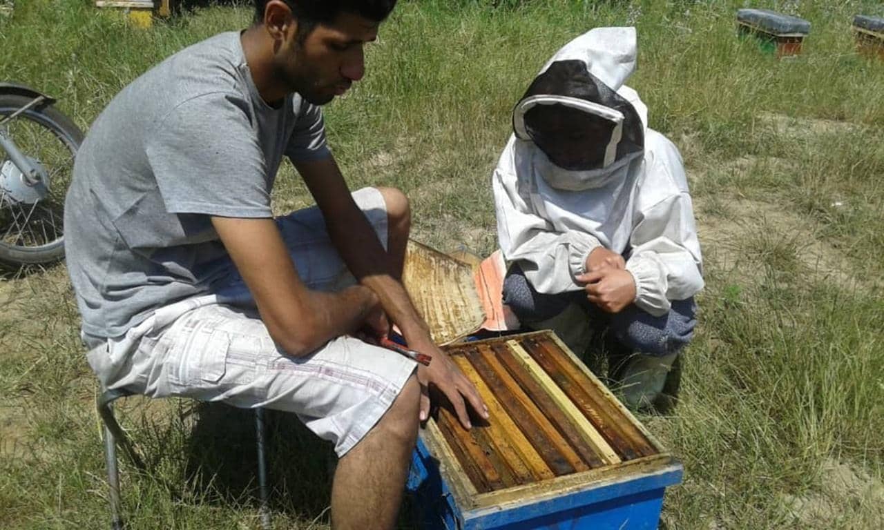 Two individuals examine a beehive, representing skills training and income generation for those in need through crypto donations, possibly via ETH.