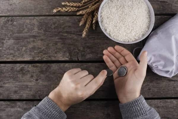 Hands counting coins, symbolizing khums calculation of surplus income, with a bowl of rice and wheat stalks indicating essential provisions and wealth purification, paid with Bitcoin.