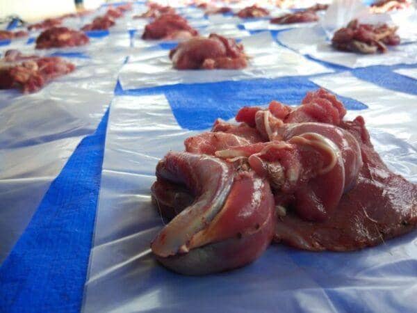 Qurbani meat portions prepared for distribution, utilizing ETH for global relief efforts.