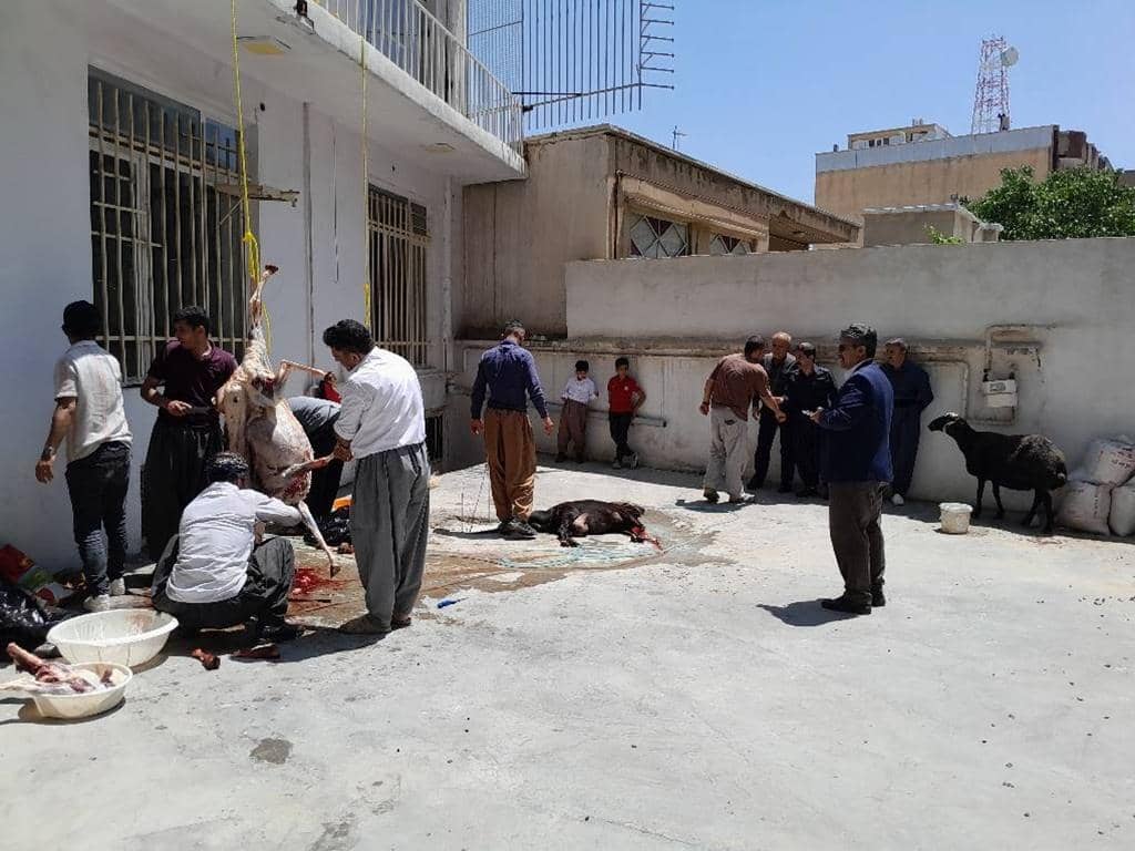 Men preparing a sacrificed lamb for Aqiqah Qurbani donation, with a live sheep nearby. Funds can be processed via BTC for this Islamic charity act.