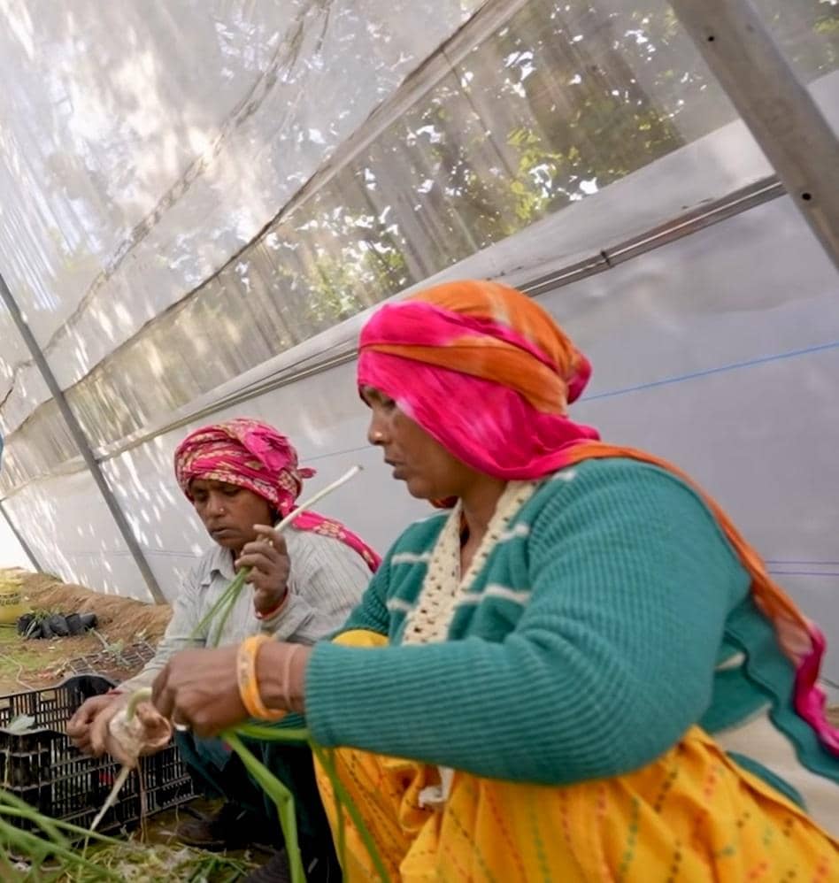 Two women working in a greenhouse tending to seedlings, supported by crypto donations via BTC, showcasing resilient growth and sustainable agriculture.
