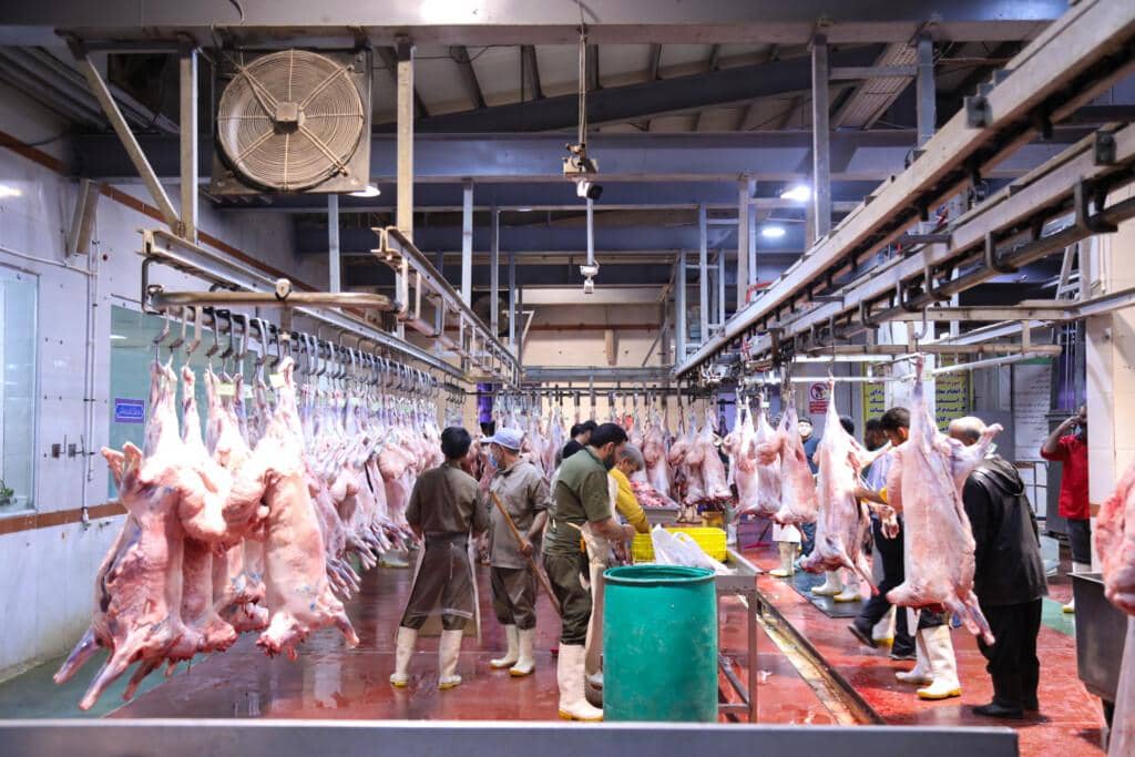 Workers in a halal butcher shop preparing 1,100 kg of meat for the needy during Ramadan, supported by ETH donations.