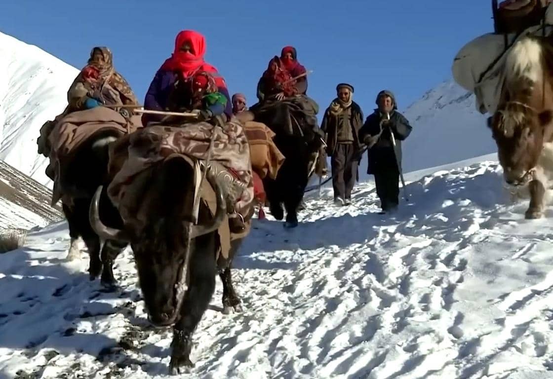 A caravan of yaks carries supplies and people through a snowy mountain landscape, symbolizing the arduous journey of aid delivery facilitated by crypto donations.