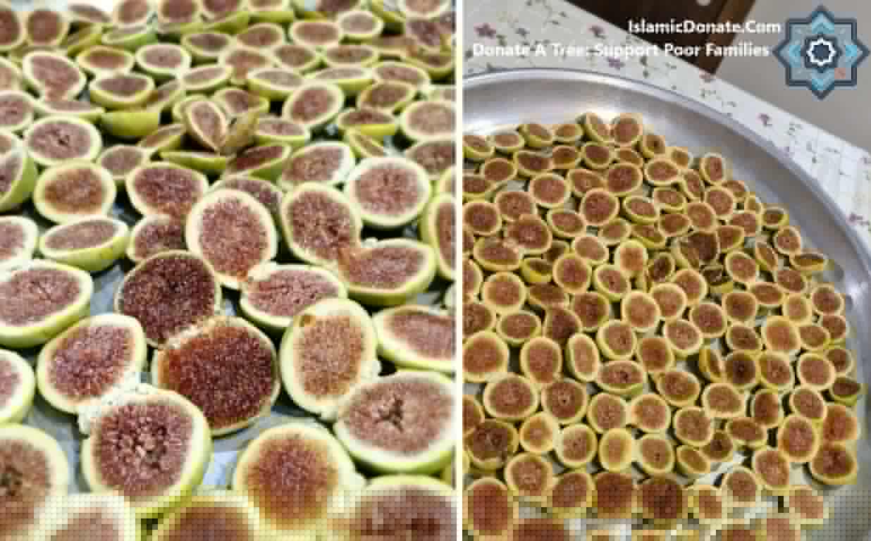Rows of halved fresh figs, some showing vibrant purple interiors, some appearing lighter, arranged for drying or display. Donations support planting fig trees for sustainable food and income, with aid processed via BNB.