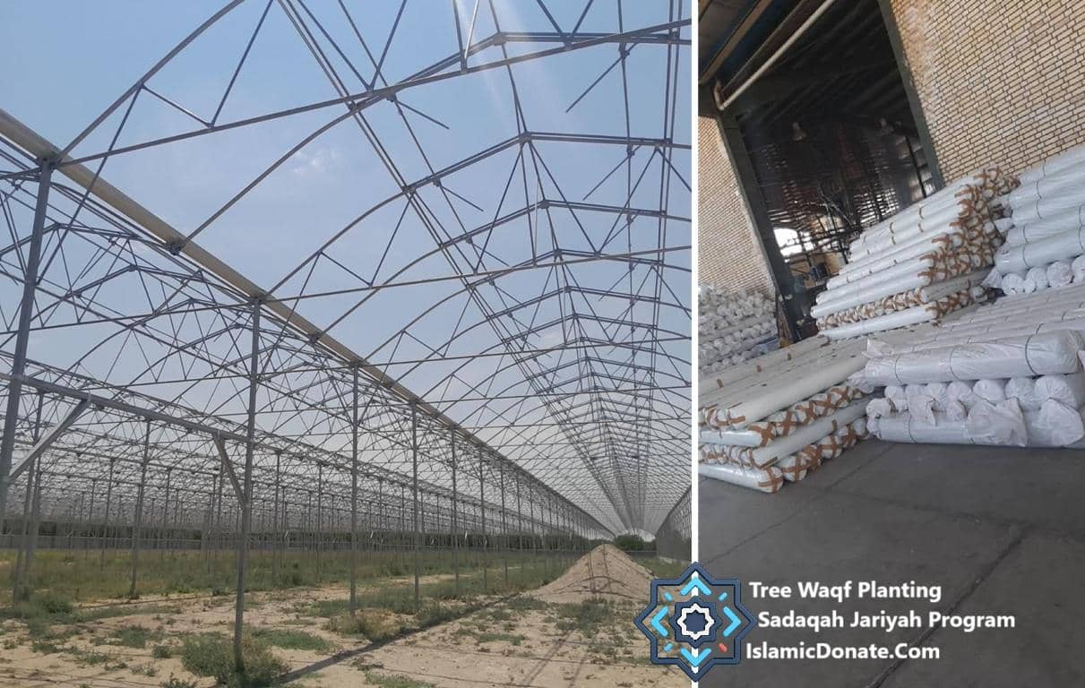 Greenhouse construction for banana tree cultivation in Syria, supported by cryptocurrency donations. Key phrases: banana tree planting, sustainable livelihoods, breaking poverty cycle, community growth, crypto donation. Supported by RLUSD.