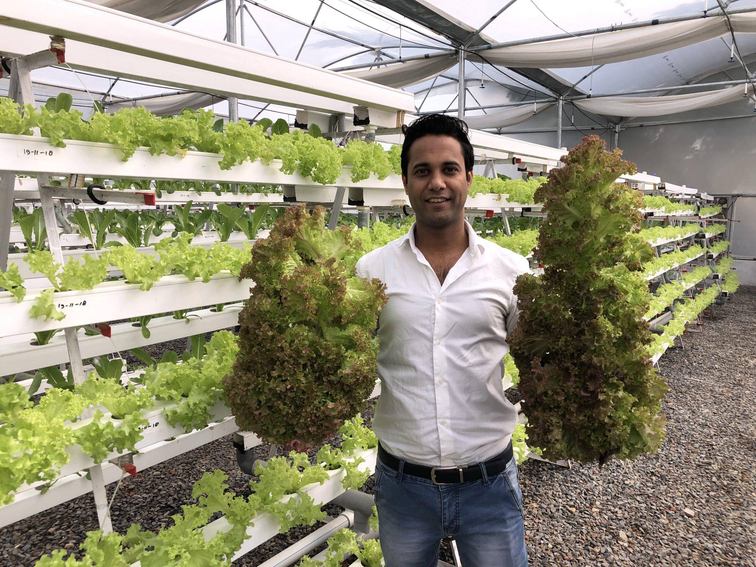 Hydroponic farming project with man holding lettuce, a continuous charity supported by SOL donations for the needy and environment.