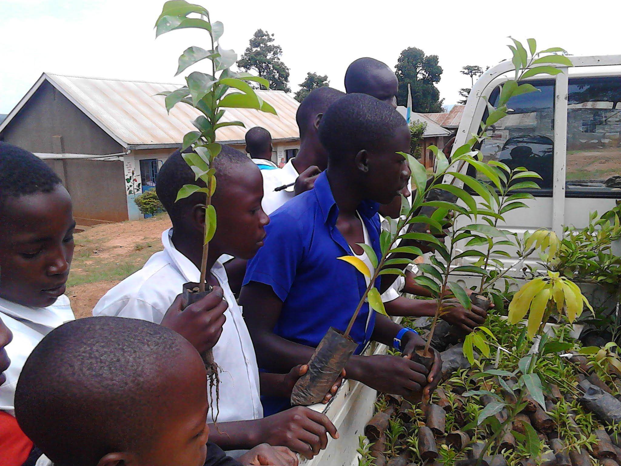 Children holding saplings for reforestation, supported by crypto donations like ETH, fostering community environmental consciousness on International Day of Forests.