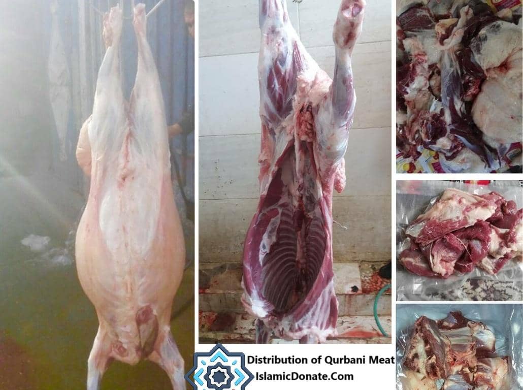 Aqiqah Qurbani distribution of halal meat for newborns, can be paid for using Bitcoin at IslamicDonate.com. Celebrates joy, compassion, and community nourishment.