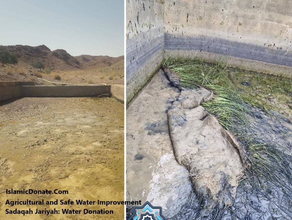 Sadaqah Jariyah water donation for agricultural improvement, supporting communities with clean water via BTC donations.