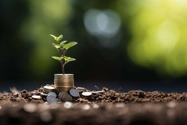 A sapling grows from a stack of coins, symbolizing growth and investment. The image connects to Private Endowment in Islam, with a nod to anonymous crypto donations via BTC.