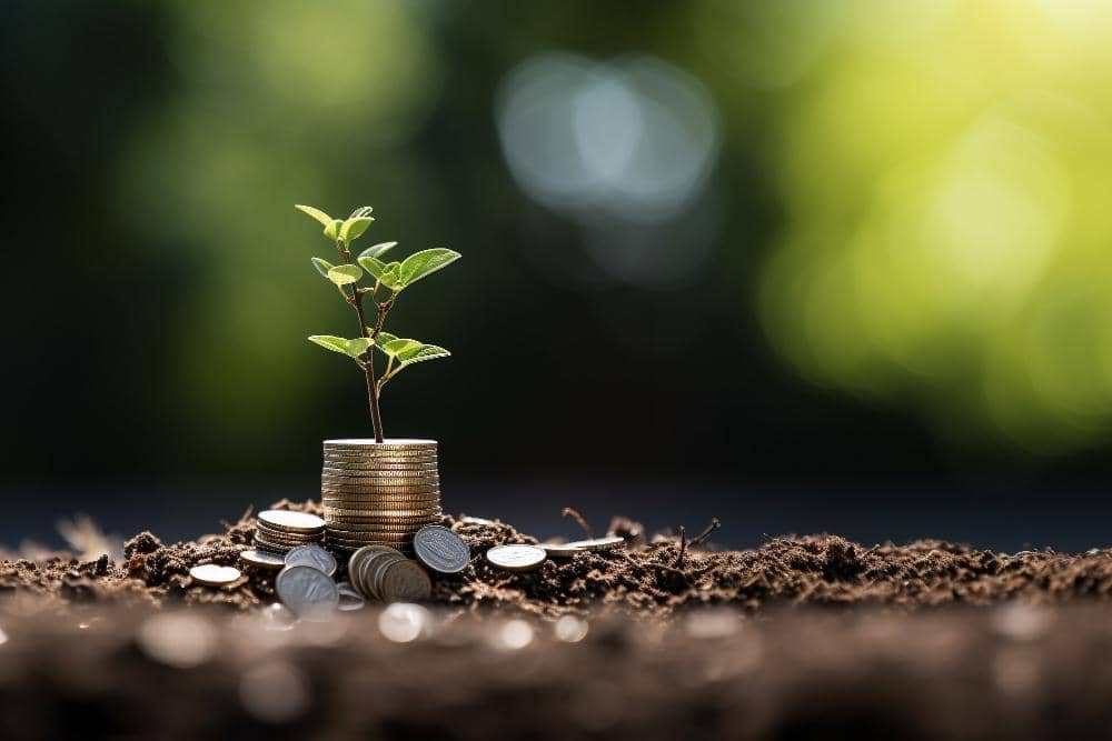 A sapling grows from a stack of coins, symbolizing growth and investment. The image connects to Private Endowment in Islam, with a nod to anonymous crypto donations via BTC.