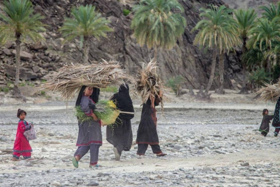 Women carrying bundles of dry vegetation and grass. A young girl walks beside them. The image depicts a scene of hardship and resourcefulness, reflecting the charitable context of collecting sustenance, potentially supported by crypto donations.