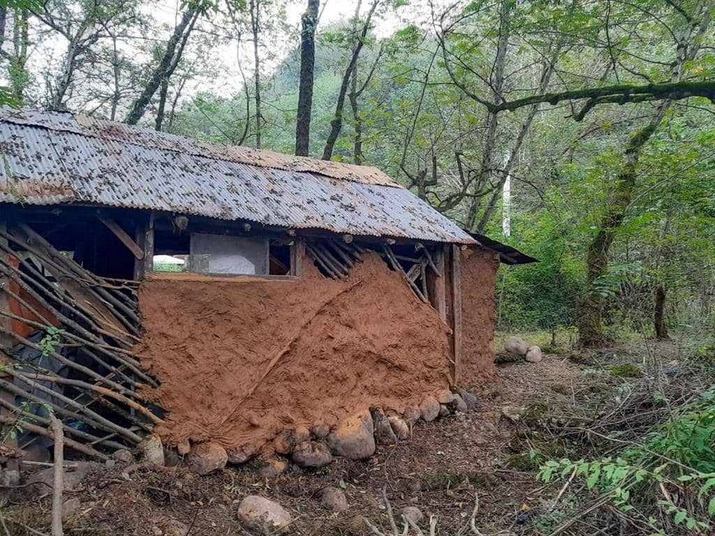 A rustic, partially constructed mud and wood dwelling in a forested area, representing a pathway out of poverty with cryptocurrency donations, specifically benefiting from SOL aid.