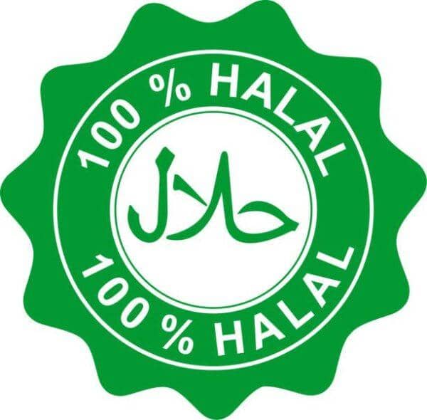 100% Halal certification logo in green, signifying permissible food and services provided through ethical financial practices and respectful interactions. Supports crypto donations with ETH.