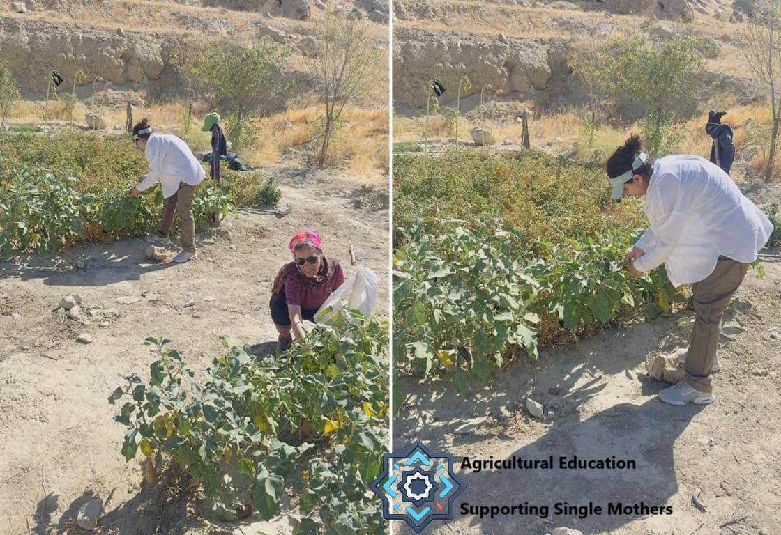 Two women tending to crops in a dry, arid environment, illustrating agricultural education and support for single mothers. Cryptocurrency donations via XRP fund this initiative, fostering self-sufficiency.