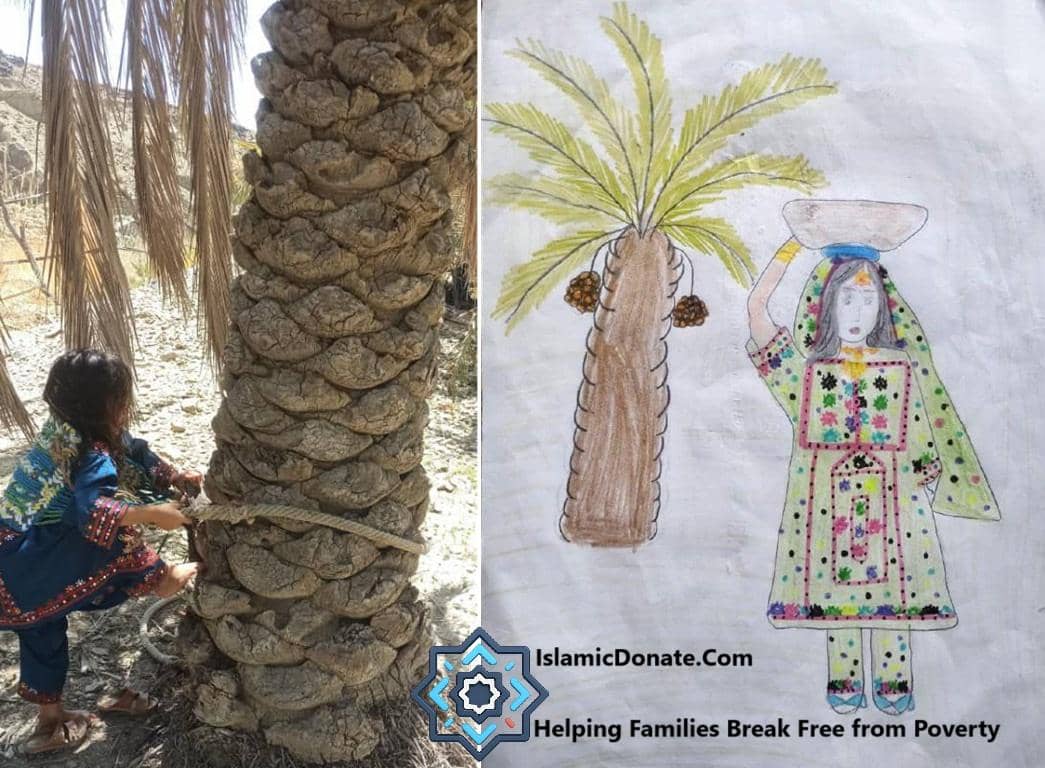 A child ties rope to a date palm tree trunk, juxtaposed with a child's drawing of a date palm and a girl carrying a basket, symbolizing hope and sustenance for families, supported by ETH donations.