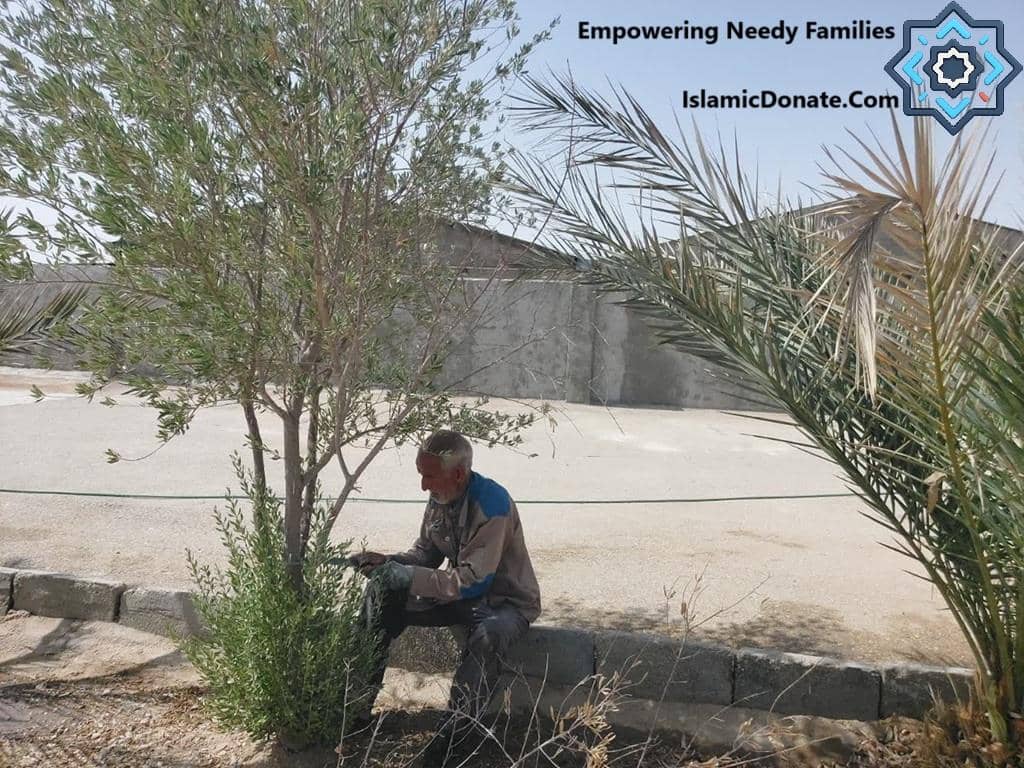 Man tending to a young fruit tree, symbolizing Sadaqah Jariyah, donation of date trees for needy families enabled by crypto, possibly ETH, supporting sustainable livelihoods and empowering future generations.
