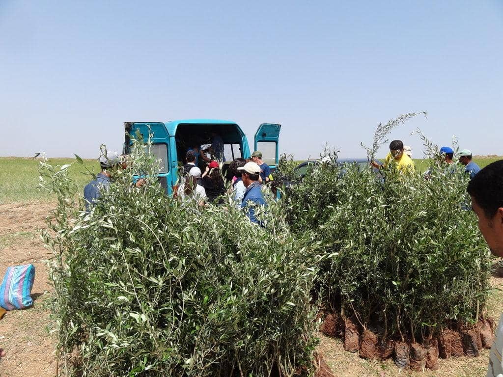 People gathered to plant olive saplings for Sadaqah Jariyah, with a turquoise van in the background and a grassy field beyond. Their charitable efforts are supported by ETH.