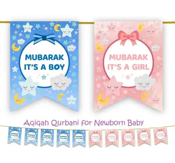 Aqiqah Qurbani for Newborn Baby banner with blue "MUBARAK IT'S A BOY" and pink "MUBARAK IT'S A GIRL" designs, celebrating new arrivals with crypto donations made via BTC.
