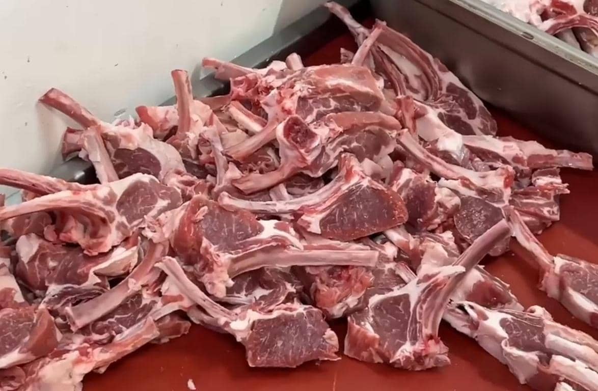Pile of freshly cut raw lamb chops on a red surface, ready for Aqiqah Qurbani donation, processed with ETH.