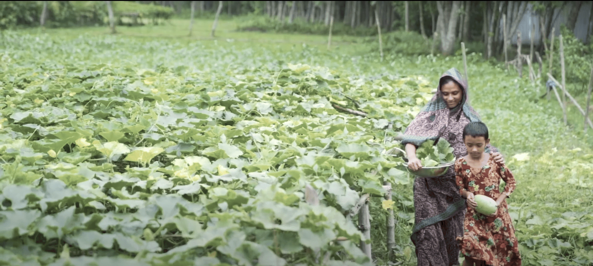 A woman and child harvesting crops in a flourishing field, symbolizing empowerment and family success supported by crypto donations like ETH.