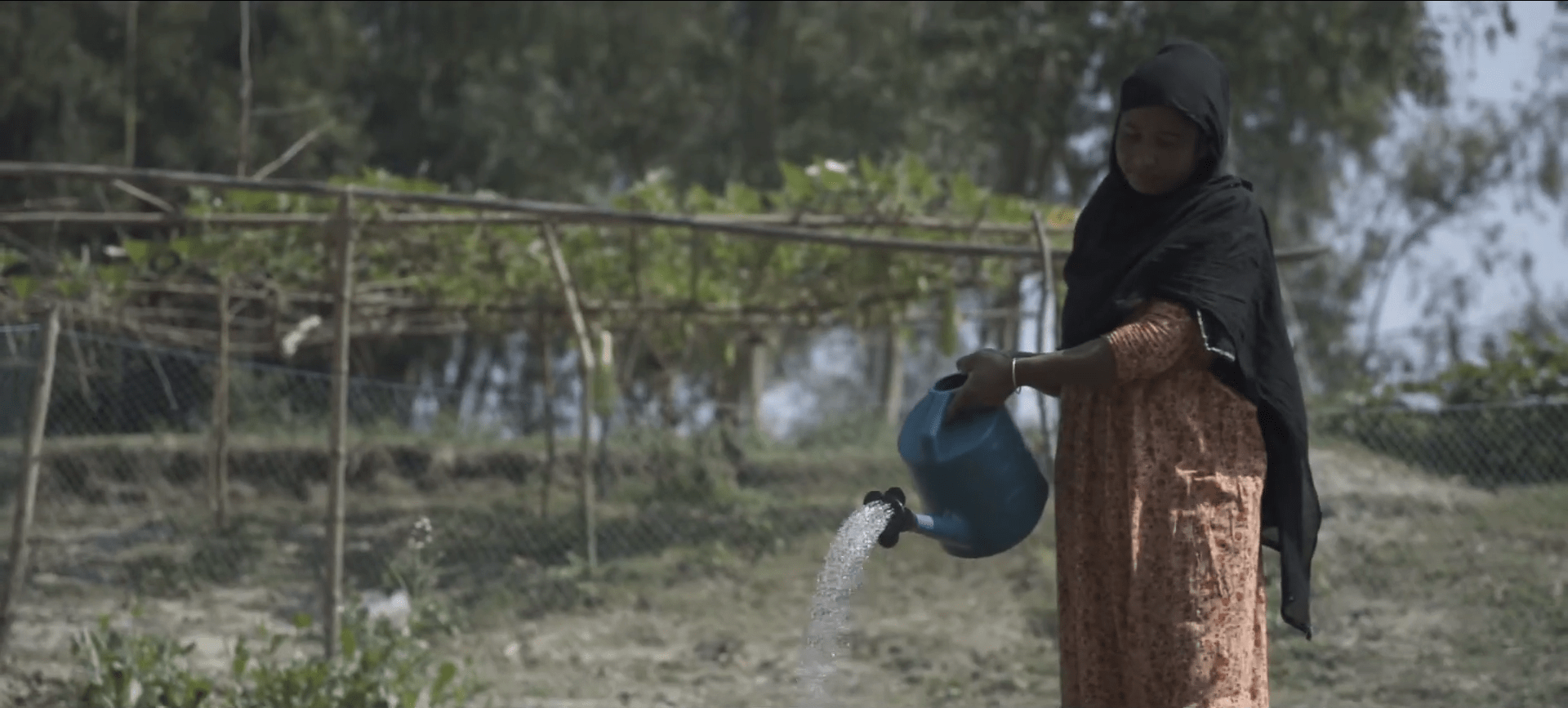 Aisha, empowered by crypto donations for water access, waters flourishing crops in Bangladesh.
