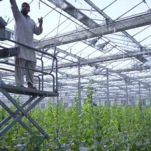 Man on lift tending hydroponic greenhouse crops, showcasing crypto donation impact on six families and women empowerment.