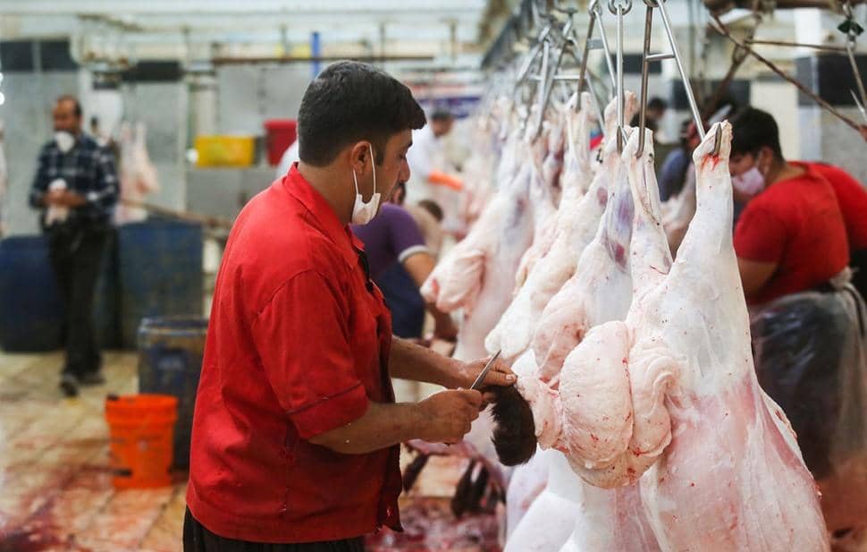 Meat distribution for Eid al-Adha 2024 featuring sacrificial meat preparation in Afghanistan, Palestine, and Syria, supported by ETH donations.