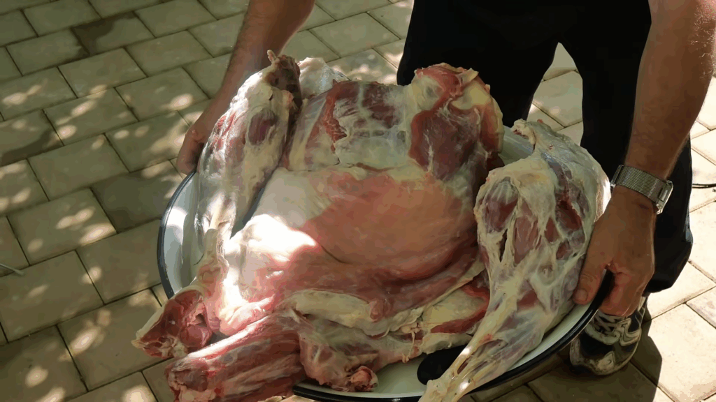 Eid al-Adha meat distribution: Supporters provided 317 kilos of sacrificial meat for hot meals and raw packages in Afghanistan, Palestine, and Syria, aided by ETH donations.