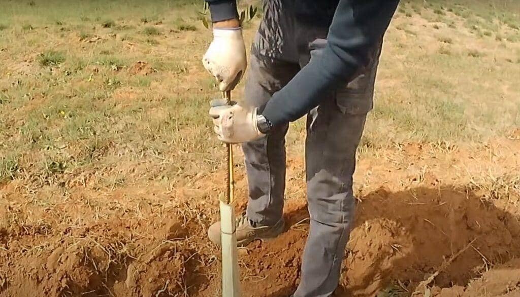 Person wearing gloves planting a sapling in the ground, symbolizing ongoing charity and sustainable income for needy families, supported by crypto donations like BTC.