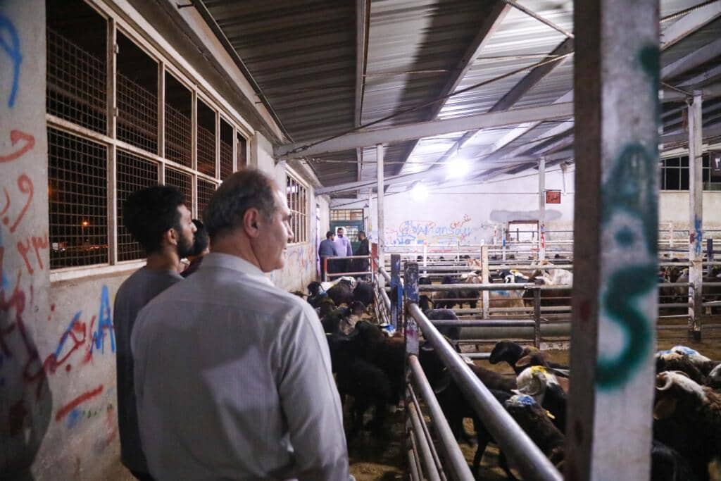 Men in a pen of sheep, preparing for Islamic philanthropy Ramadan 2025, with donations possibly processed via ETH.