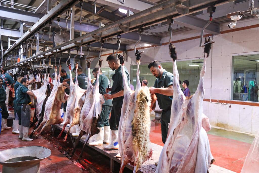 Workers process halal meat from approximately 50 sheep and goats, prepared for Ramadan iftar and suhoor meals, facilitated by anonymous crypto donations via USDT.