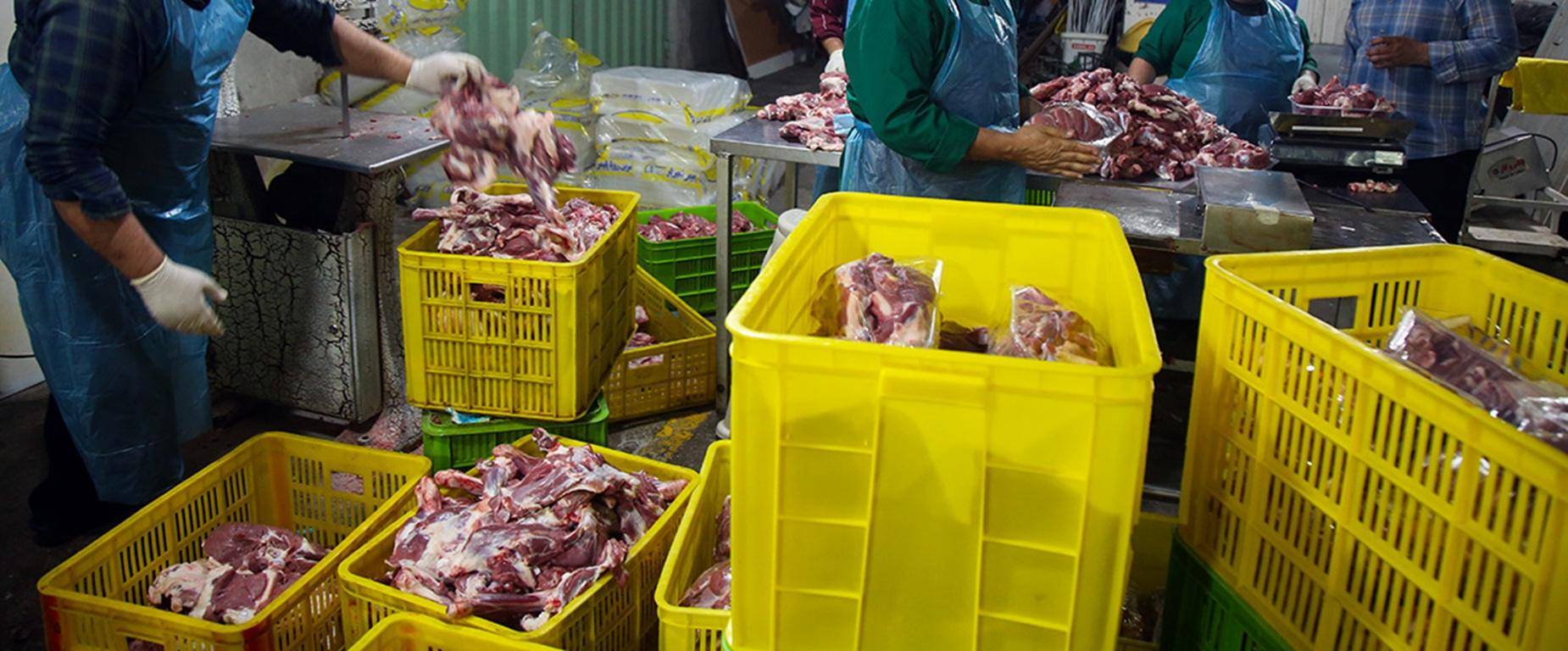 Workers process and package Qurbani meat in yellow crates, aided by crypto donations for distribution in Africa and Asia. ETH-supported relief in Gaza.