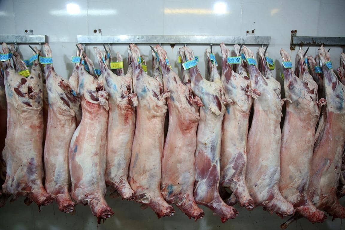 Row of carefully prepared Qurbani meat for Eid al-Adha, distributed via crypto donations, providing essential nourishment to families in need across Africa and Asia. This Eid al-Adha 2025 initiative utilized USDT to maximize impact.