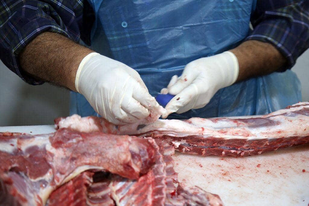 Qurbani meat preparation with gloves, aided by crypto donations like BTC, delivering nourishment and dignity to vulnerable families across Asia and Africa.