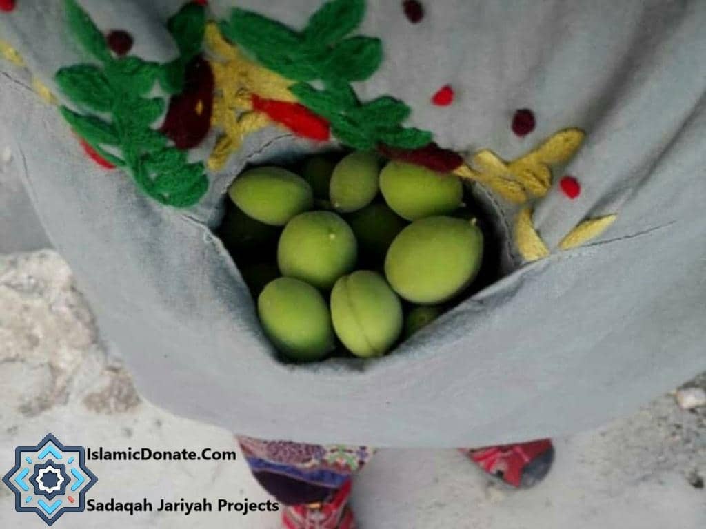 A person carries a bag filled with green fruits, representing the harvest from a Sadaqah Jariyah community garden project, supported by crypto donations like ETH.