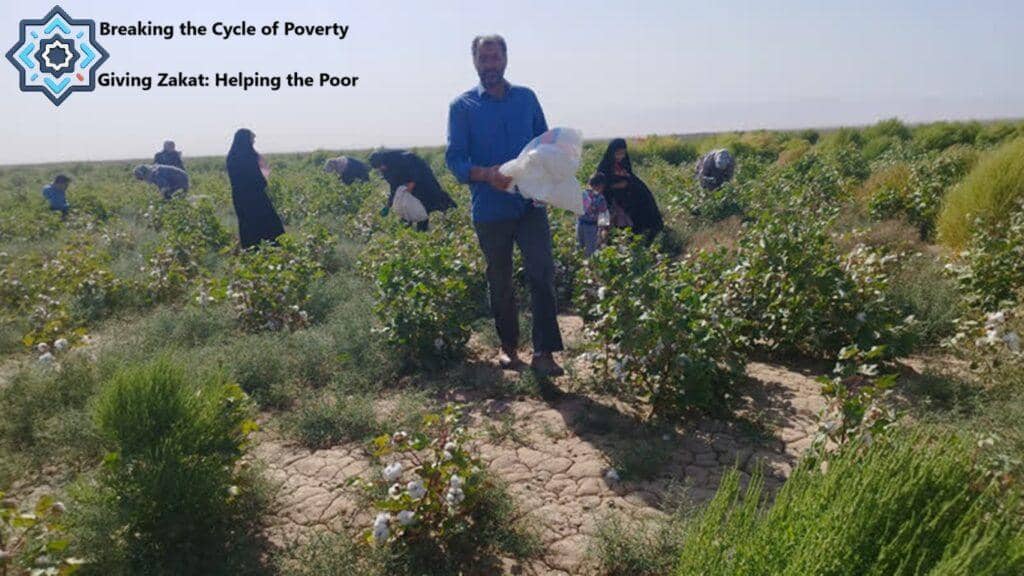 Breaking the Cycle of Poverty with crypto Zakat donations aided by BTC, people harvest cotton in a field, signifying economic empowerment and self-reliance.