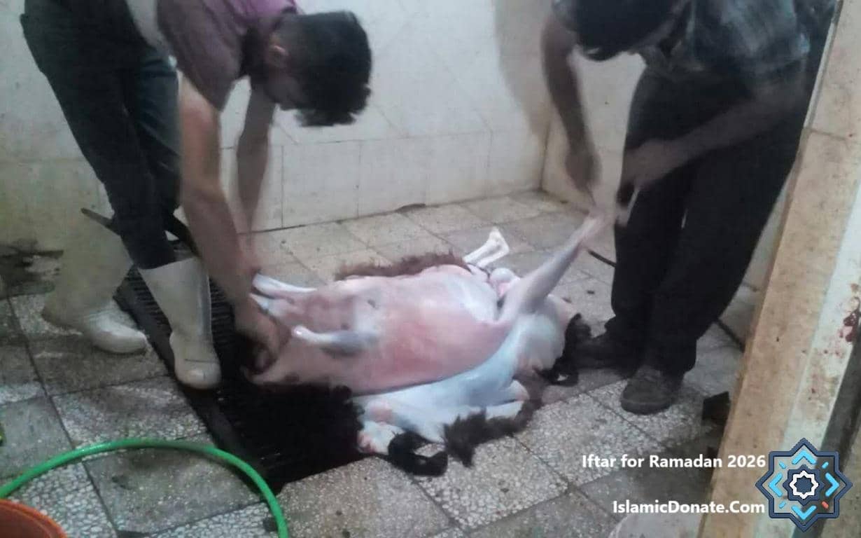 Two men processing sacrificial meat for Ramadan 2026 Iftar donations, meat packed with care, ready for distribution across Syria, Palestine, Pakistan by Islamic Donate Charity. Donated via Bitcoin.