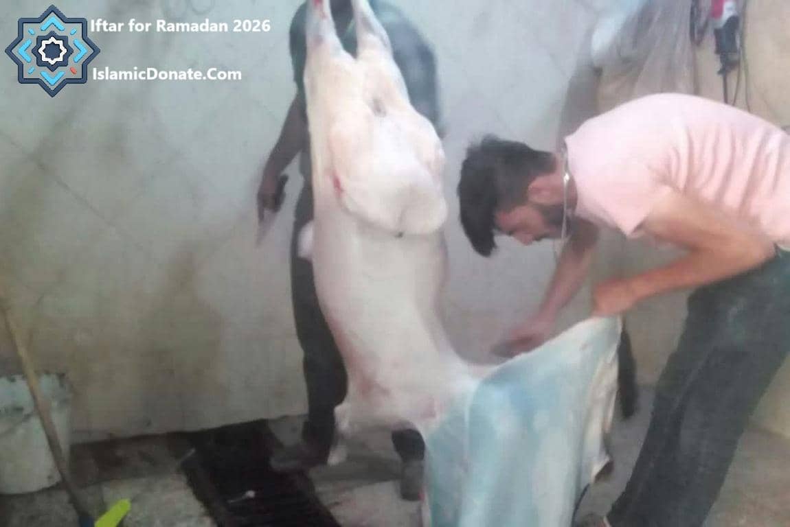 Ramadan 2026 Iftar meat preparation: Chefs process 1500 kilos of sacrificial meat from 46 sheep and goats for needy families, accepting cryptocurrency donations like Tether-gold.
