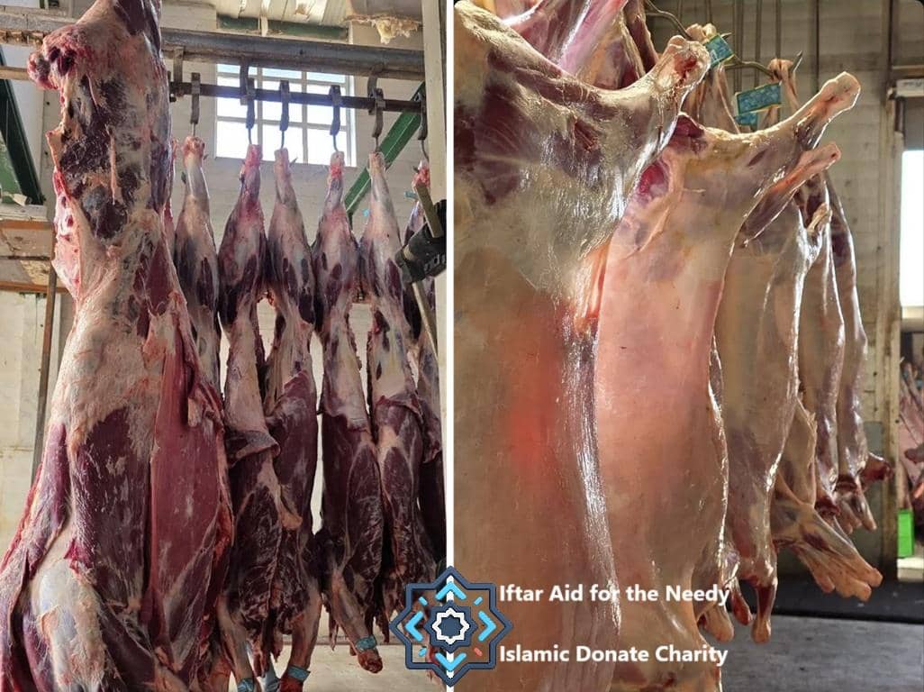 Hanging carcasses of sheep and goats, processed meat for Iftar Aid, 1500 kilos, prepared by Islamic Donate Charity, donation via USDT.