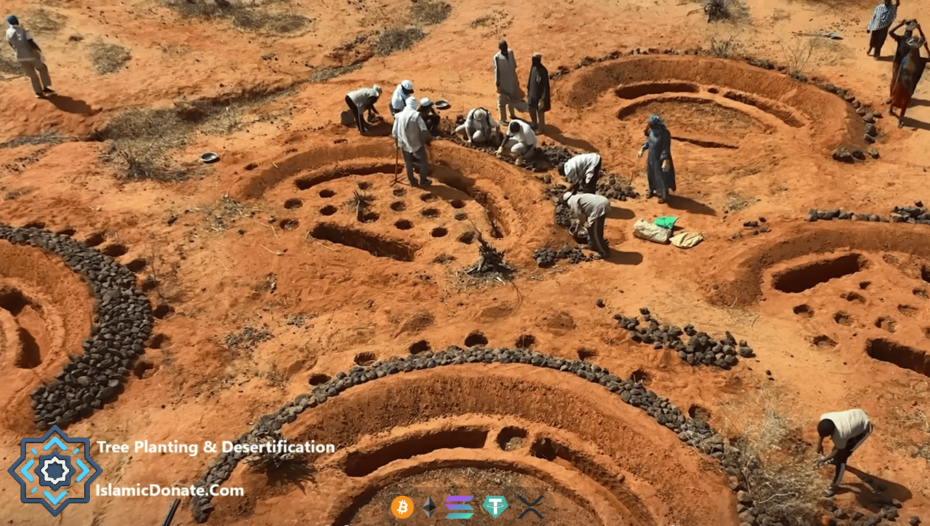 Fighting desertification through communal tree planting and soil erosion control funded by USDT and digital assets.