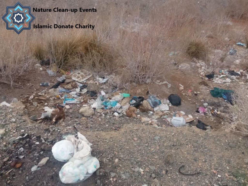 Nature Clean-up Events at polluted park with trash. Donate LTC for environmental protection and Islamic stewardship.
