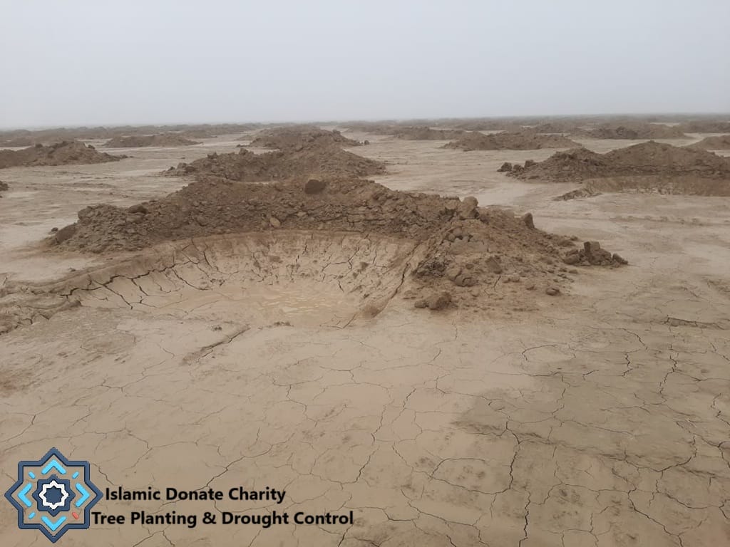 Anti-desertification half-moon water harvesting basins in arid soil funded by BNB for Islamic Donate Charity tree planting.