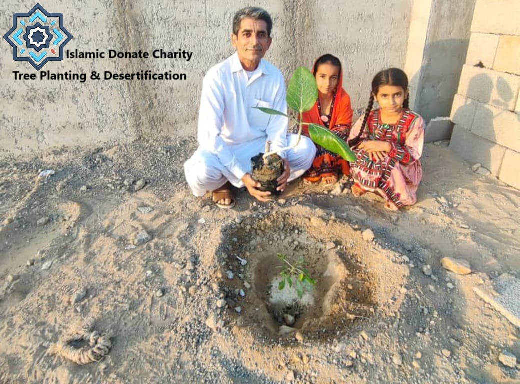 Anti-desertification tree planting charity with SOL. Man and children hold a seedling by a half-moon water harvesting hole.