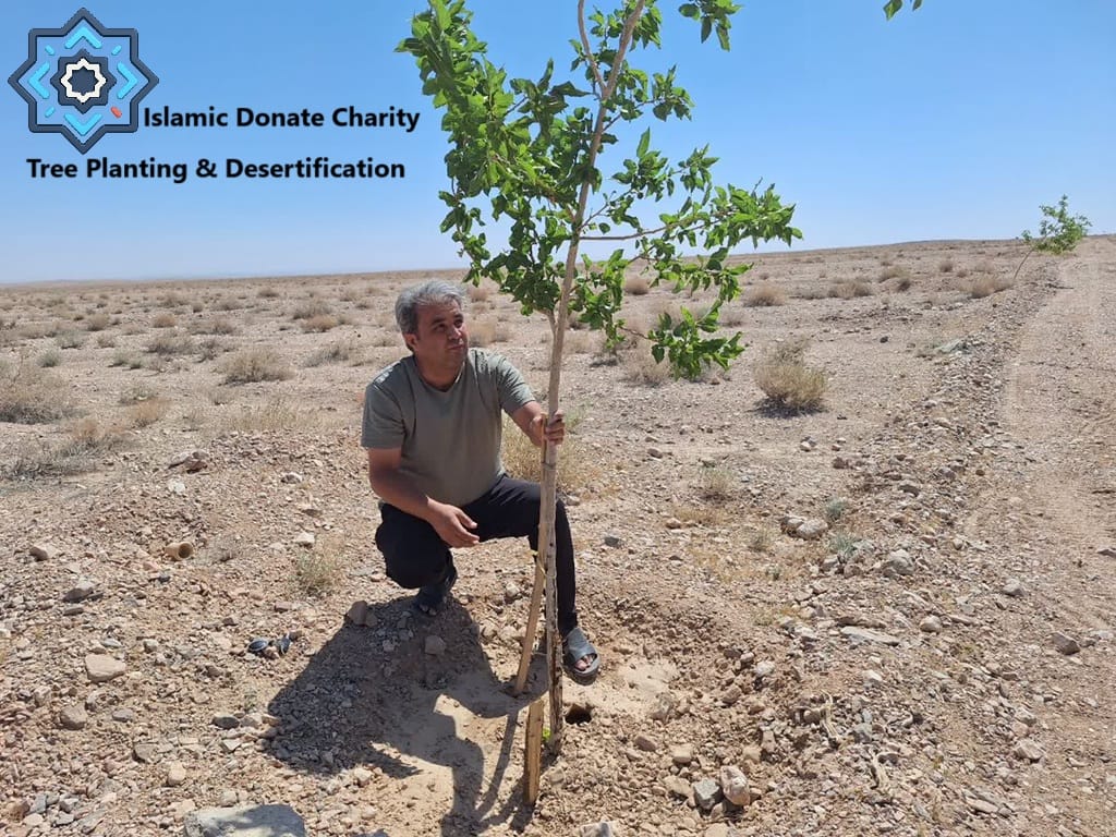 Planting trees in desert soil helps anti-desertification. Use TRX to fund Sadaqah Jariyah with Islamic Donate Charity.