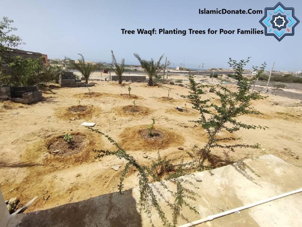 Planting fig trees for poor families, part of a tree waqf project supporting sustainable food sources and environmental restoration with a donation via cryptocurrency like Ethereum.