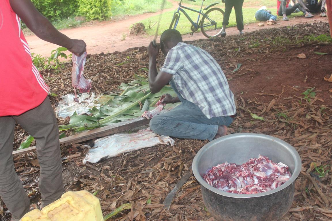 Preparing Qurbani meat for distribution using crypto donation, featuring beef being cut and collected in a large pot. This act of sacrifice feeds the poor and displaced, honoring Islamic tradition.