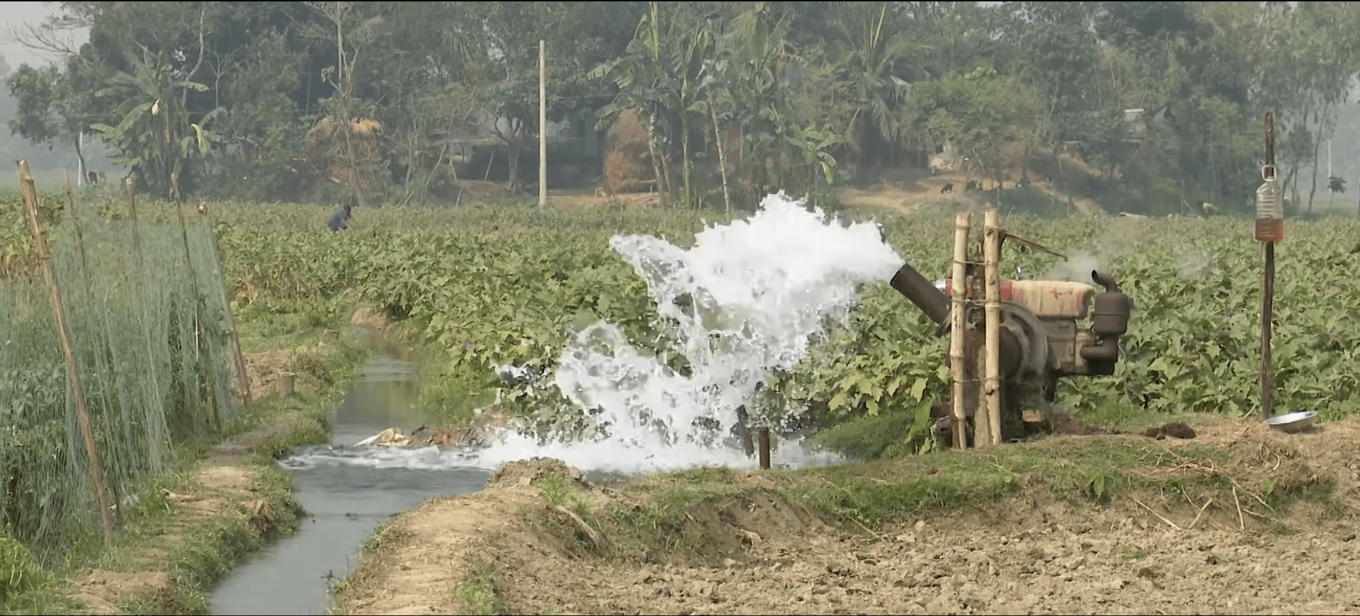 Aisha's story of empowerment features a water pump revitalizing barren fields. This image, supported by crypto donations like Optimism, symbolizes renewed hope and flourishing families enabled by community support within Our Islamic Charity's mission.