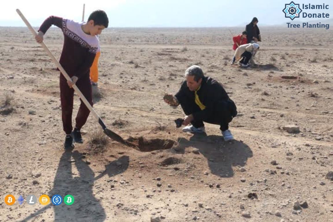 People planting trees in arid land, a sustainable charity project from Islamic Donate, empowering families with crypto donations like USDT.